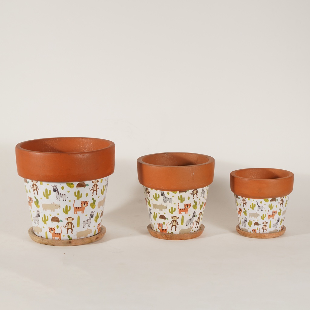 Pot Basica Paper-Kids Jungle
