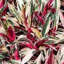 20230326_122025.webp