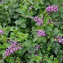 20230629_152041.webp
