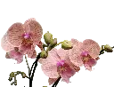 IMG_20250811_113755.webp
