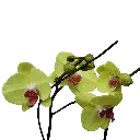 IMG_20250811_114501.webp