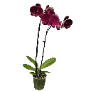 IMG_20250811_112000.webp