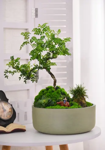 Pot cylindro Bowl Olive Green.webp