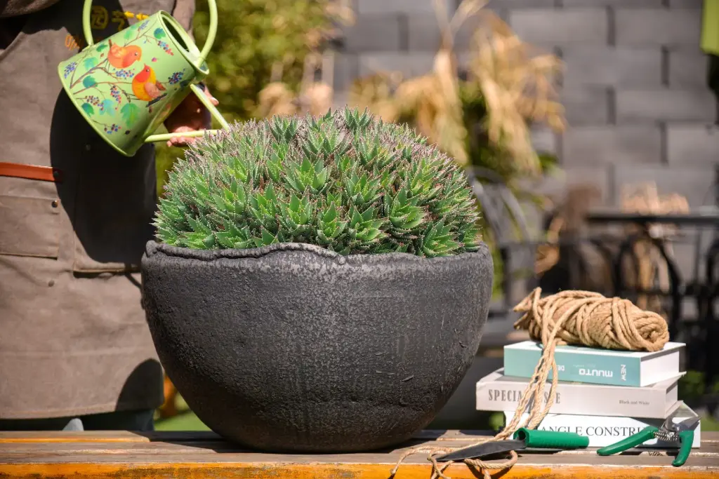 Pot Handmade Bowl Charcoal