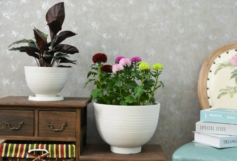 Pot Silk Road Bowl White Stone