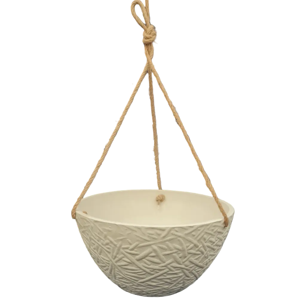 [POPS WHRO D30.5 H15.2] Pot Chlorophytum (White Stone).webp