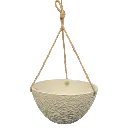 [POPS WHRO D30.5 H15.2] Pot Chlorophytum (White Stone).webp