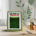 Seed Shepu Sugandha 10 gm