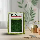 Seed Shepu Sugandha 10 gm