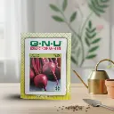 Seed Beetroot