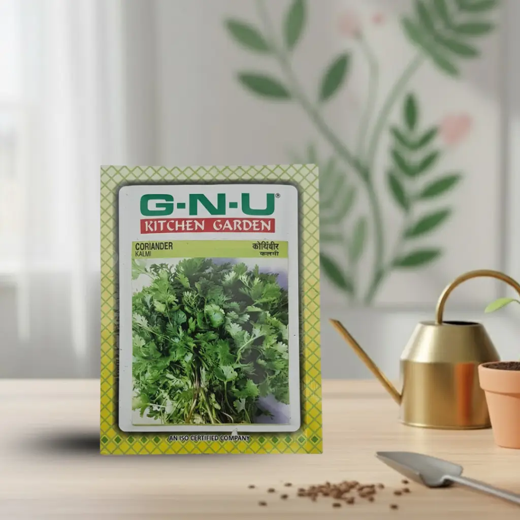Seed Corriander Kalmi 10 gm
