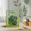 Seed Corriander Kalmi 10 gm