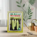 Seed Cucumber Poona Kheera 10 gm
