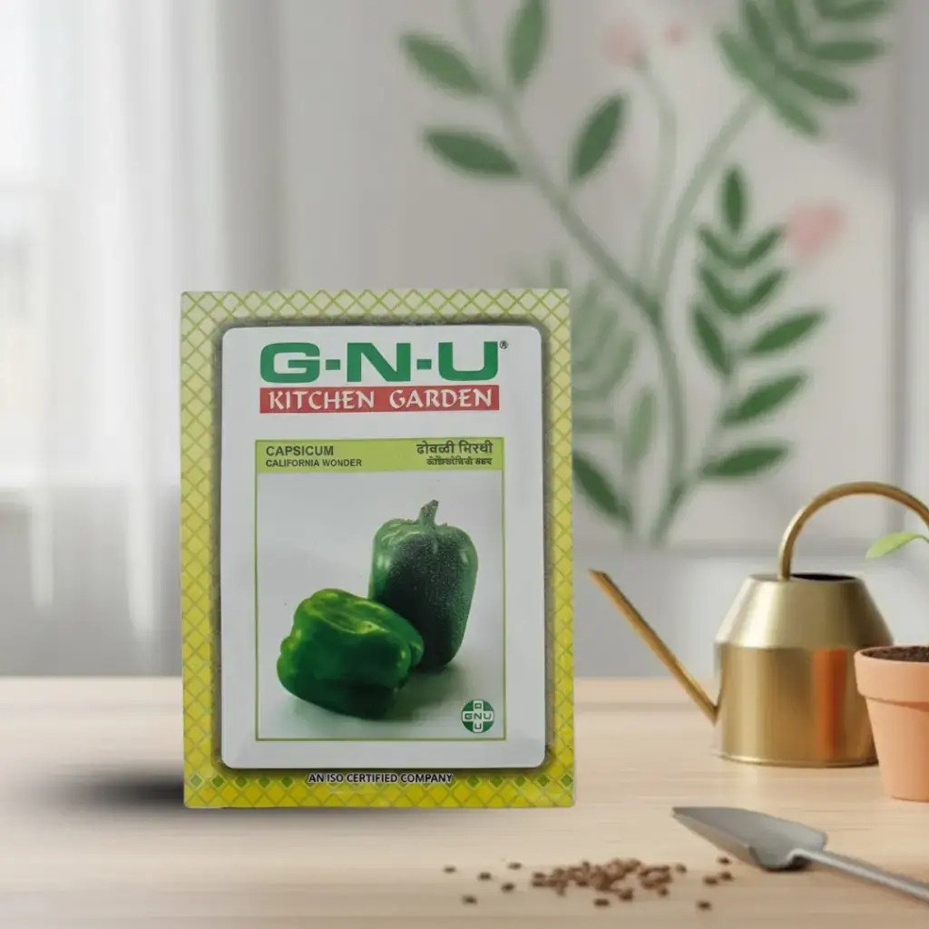 Seed Capsicum California Wonder 5 gm