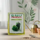 Seed Capsicum California Wonder 5 gm