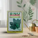 सीड पालक ऑल ग्रीन - 10 ग्राम