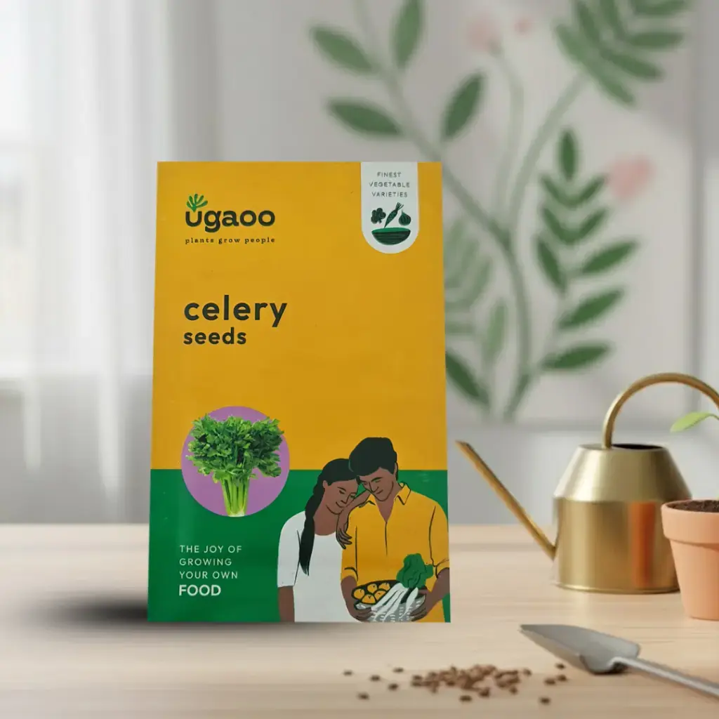 सीड सेलरी