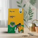 सीड सेलरी