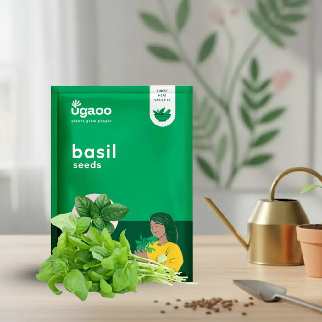 Seed Basil