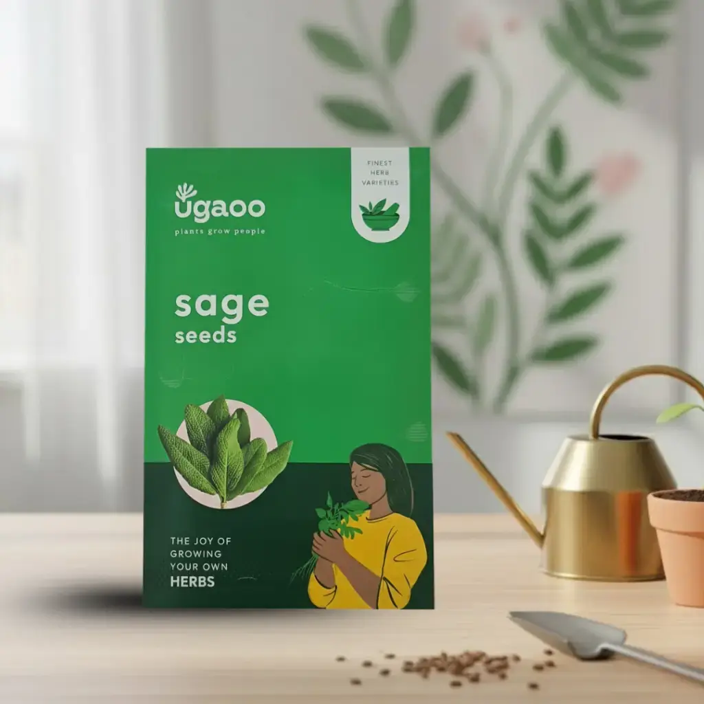 [VESE SAGE] Seed Sage