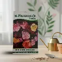 Seed Carnation Giant Chaubad Mixed