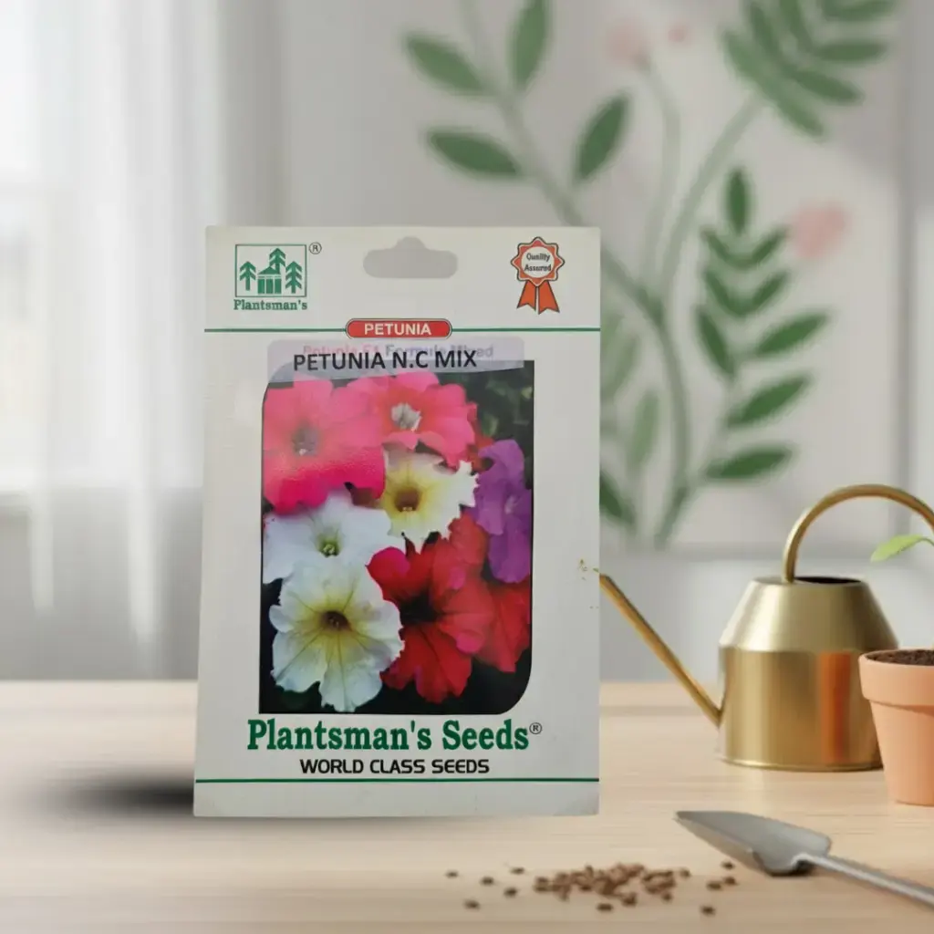 Seed Petunia N.C, Mixed