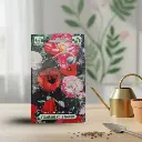 Seed Poppy Shirley Double Mixed