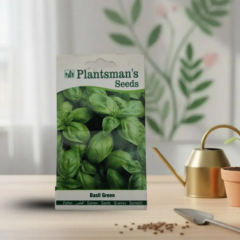 Seed Basil Green