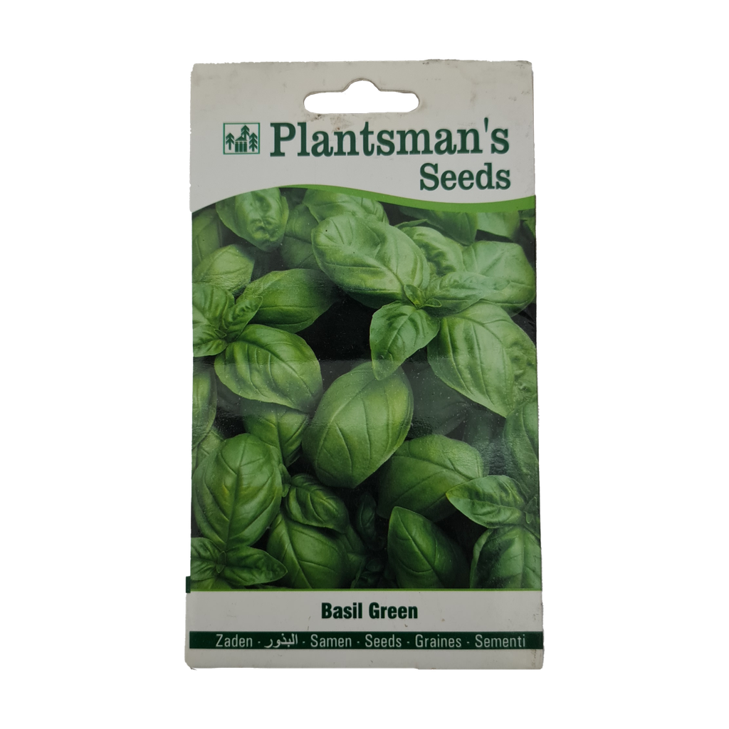 Seed Basil Green