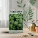 Seed Basil Green