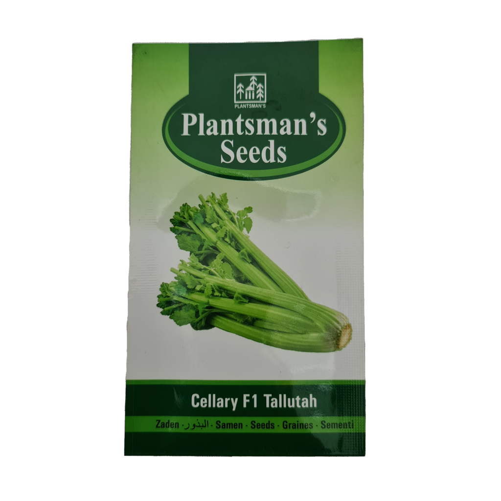 Seed Celery F1 Tallutah