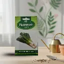 Seed Leak American Flaca