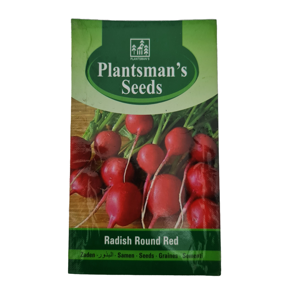 Seed Radish Round Red