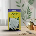 Seed Radish