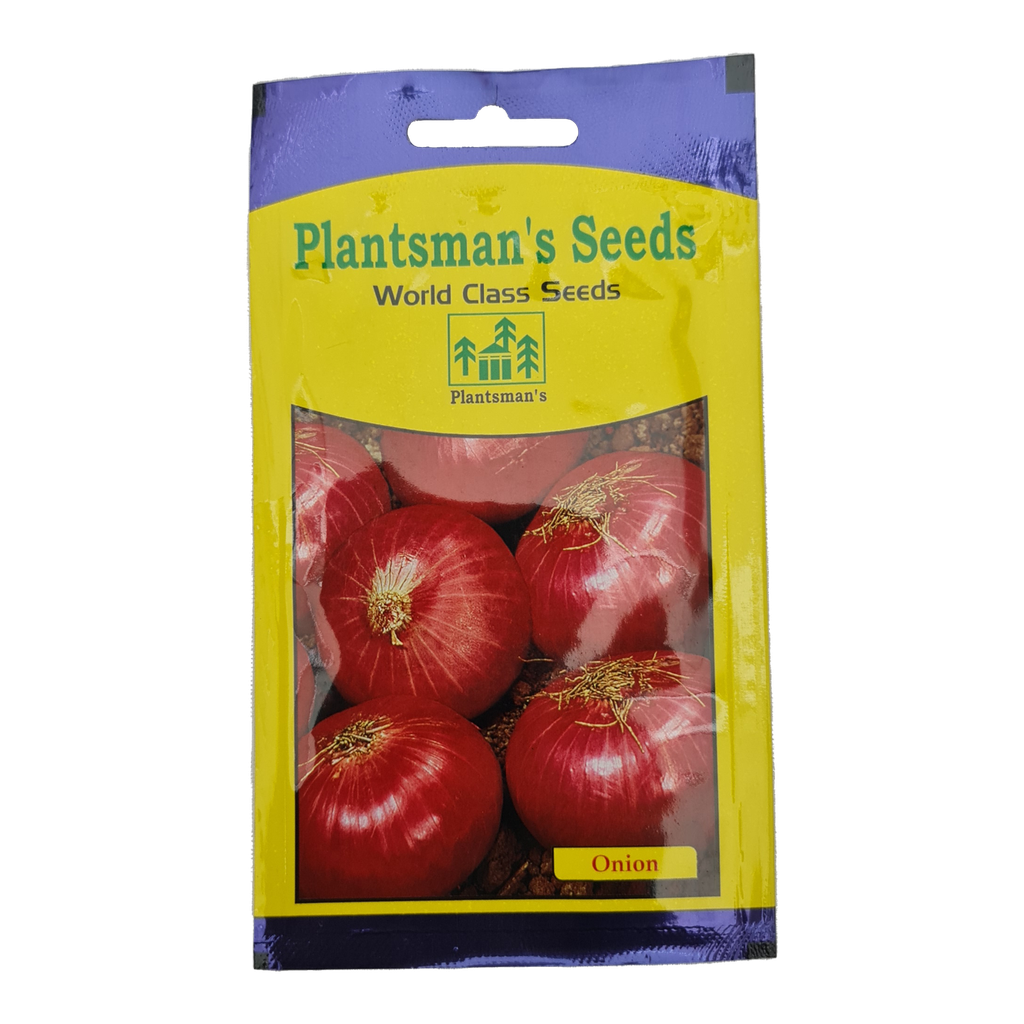 Seed Onion PMS 205
