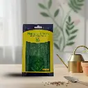 Seed Palak All Green