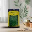 Seed Palak All Green