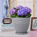 पॉट एग ए