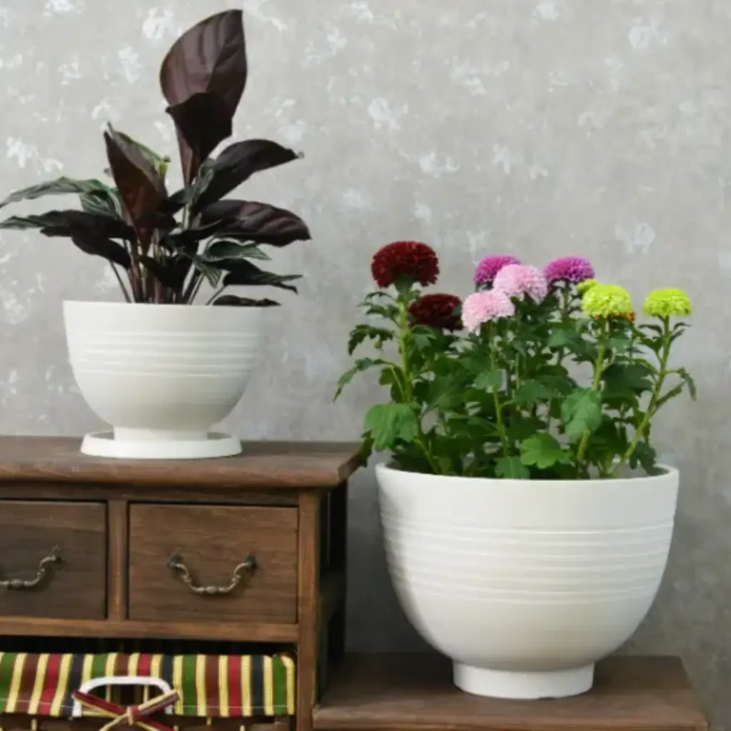 Pot Silk Road Bowl White Stone