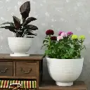 Pot Silk Road Bowl White Stone