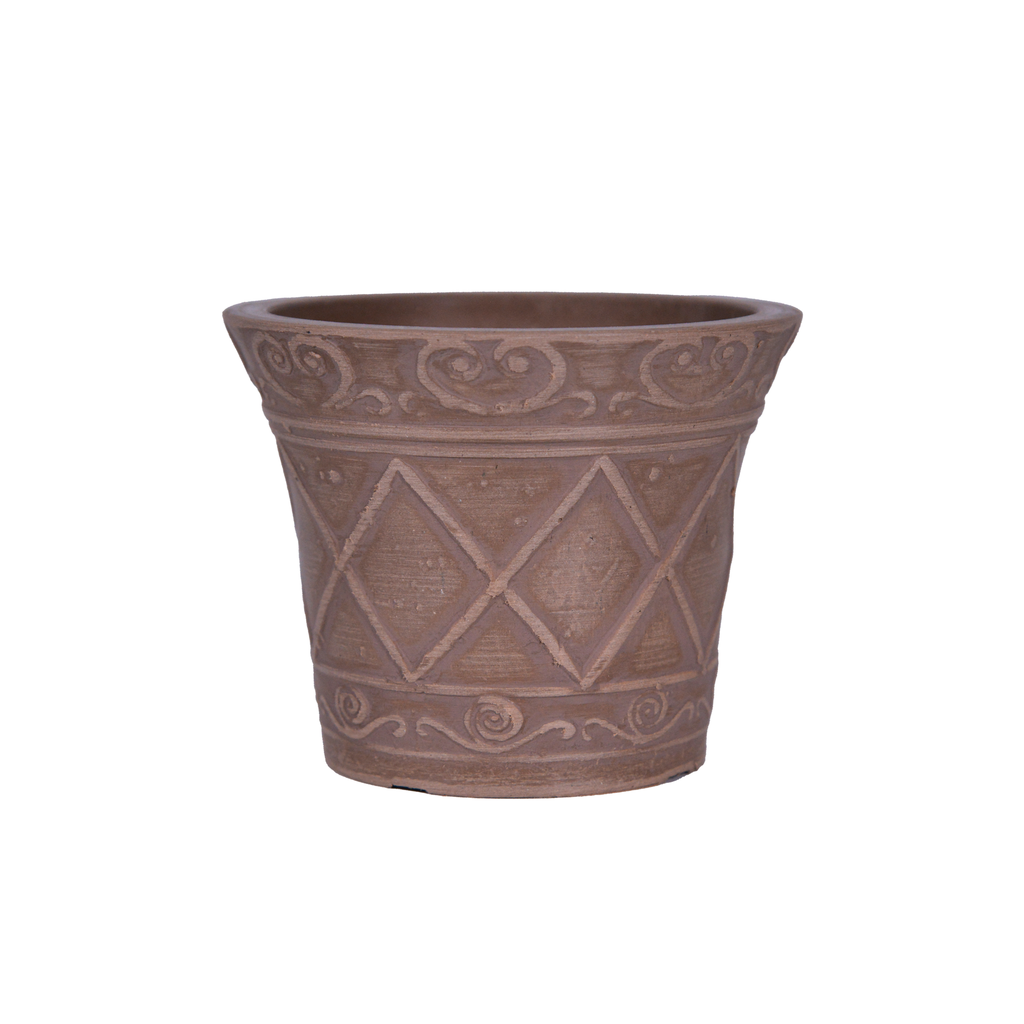 Pot Palm Series
