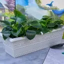 पॉट बर्लिन रेक्टा बी