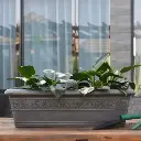 पॉट बर्लिन रेक्टा