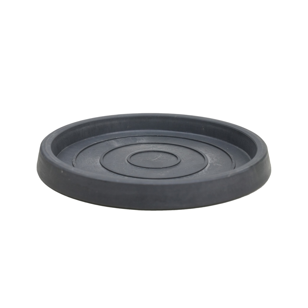 Saucer 09-19