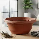 पॉट लोटस स्मॉल टीसी