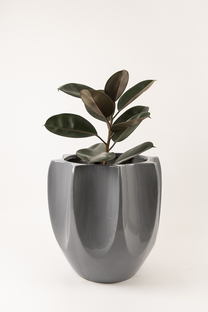 Pot Tranquil Tales Medium