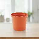 पॉट निसर्ग 200