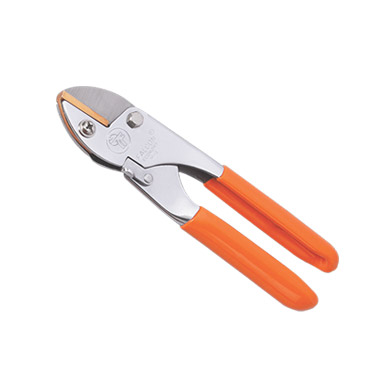 Anvil Secateur