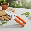 एन्विल सेकॅचर