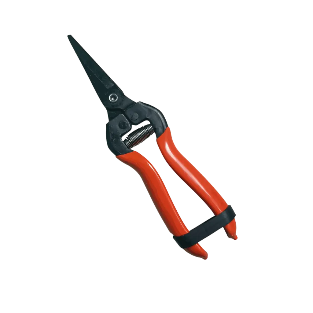 बाय पास सेकेटर (FBT-45)